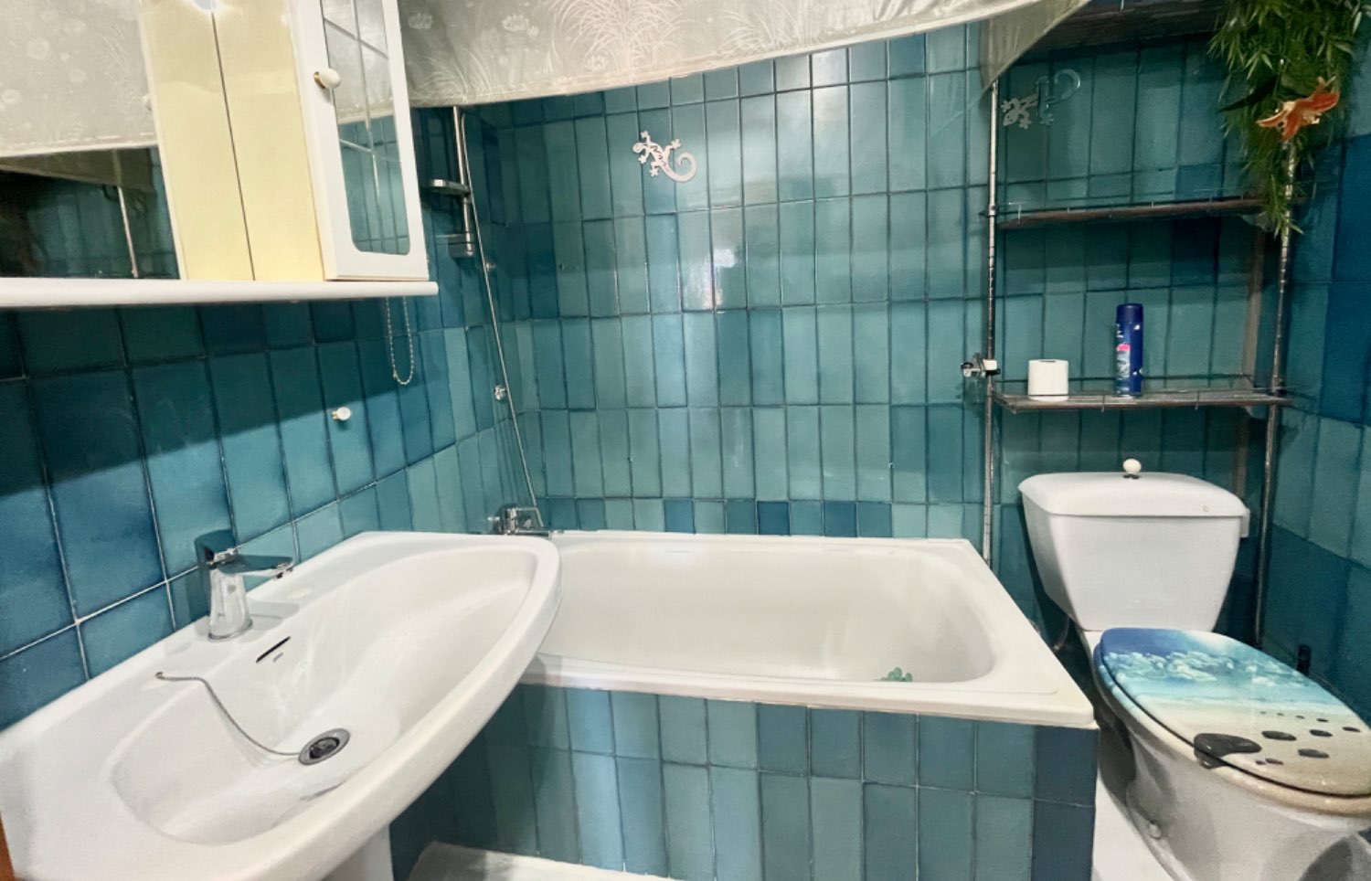 APARTAMENTO CON VISTAS
