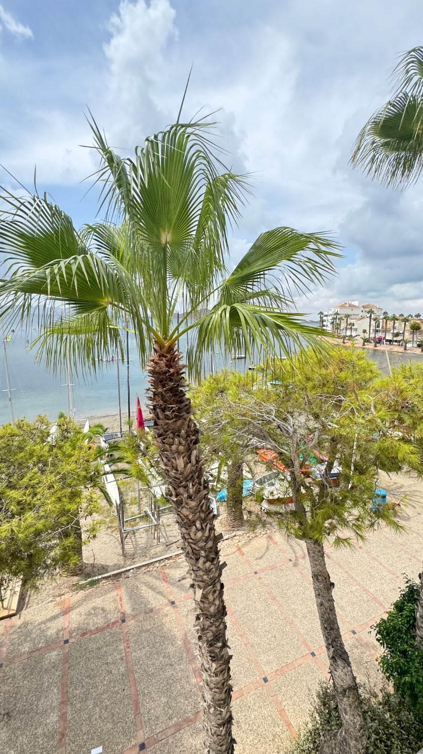 Duplex, 2 våningar till salu i Playa de las Gaviotas-El Pedrucho (La Manga del Mar Menor)