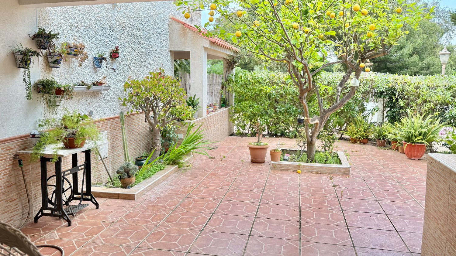 PRECIOSA PLANTA BAJA CON JARDÍN