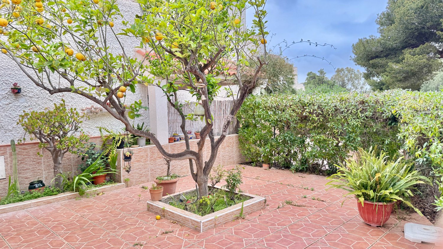 PRECIOSA PLANTA BAJA CON JARDÍN