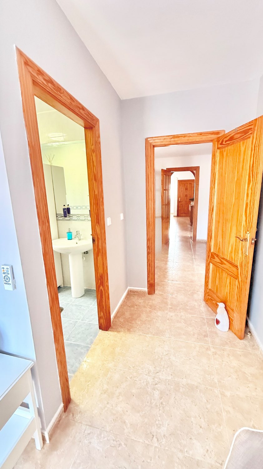 Txaleta salgai in Mar de Cristal-Cabo de Palos (Cartagena)