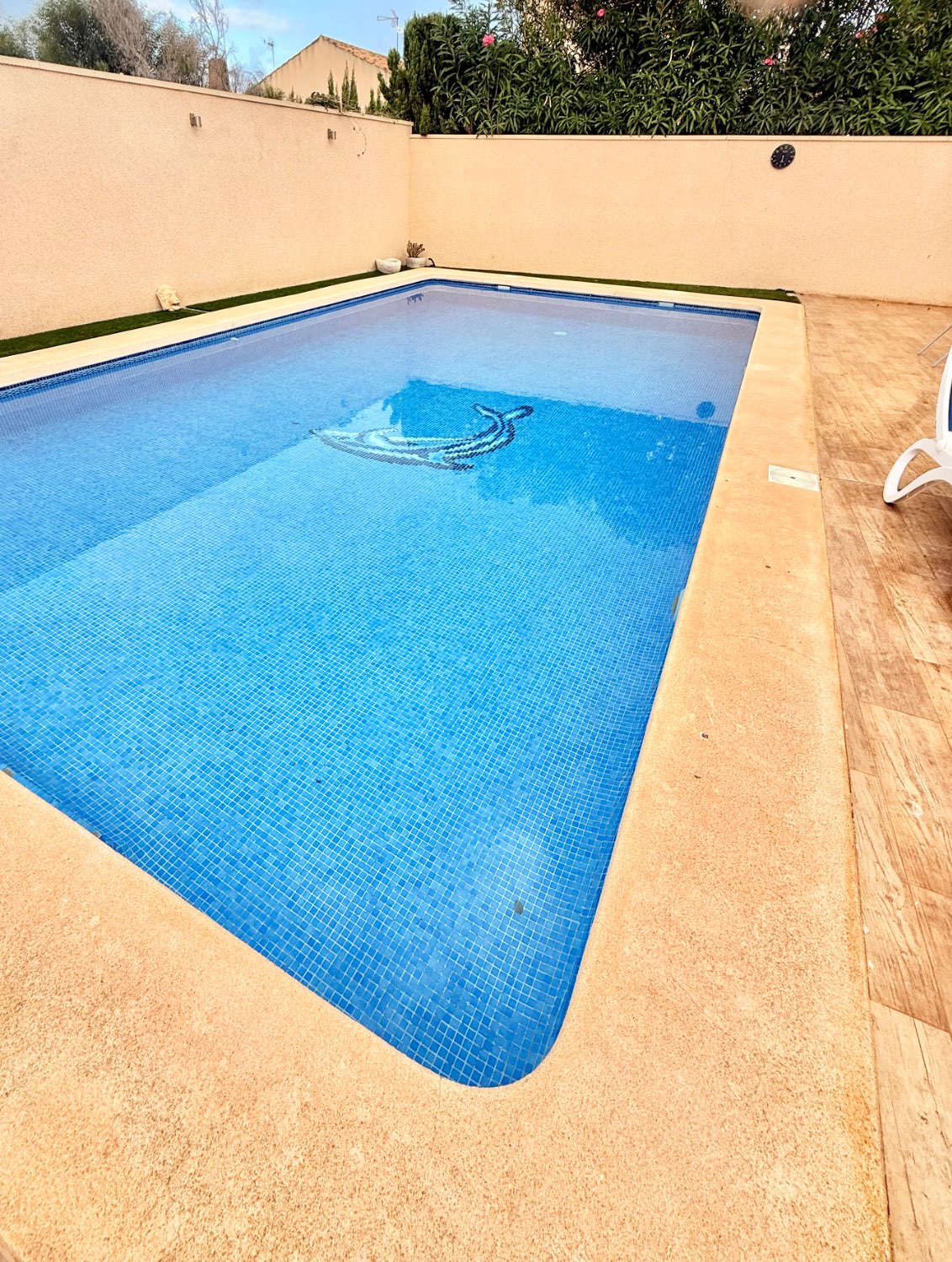 Txaleta salgai in Mar de Cristal-Cabo de Palos (Cartagena)