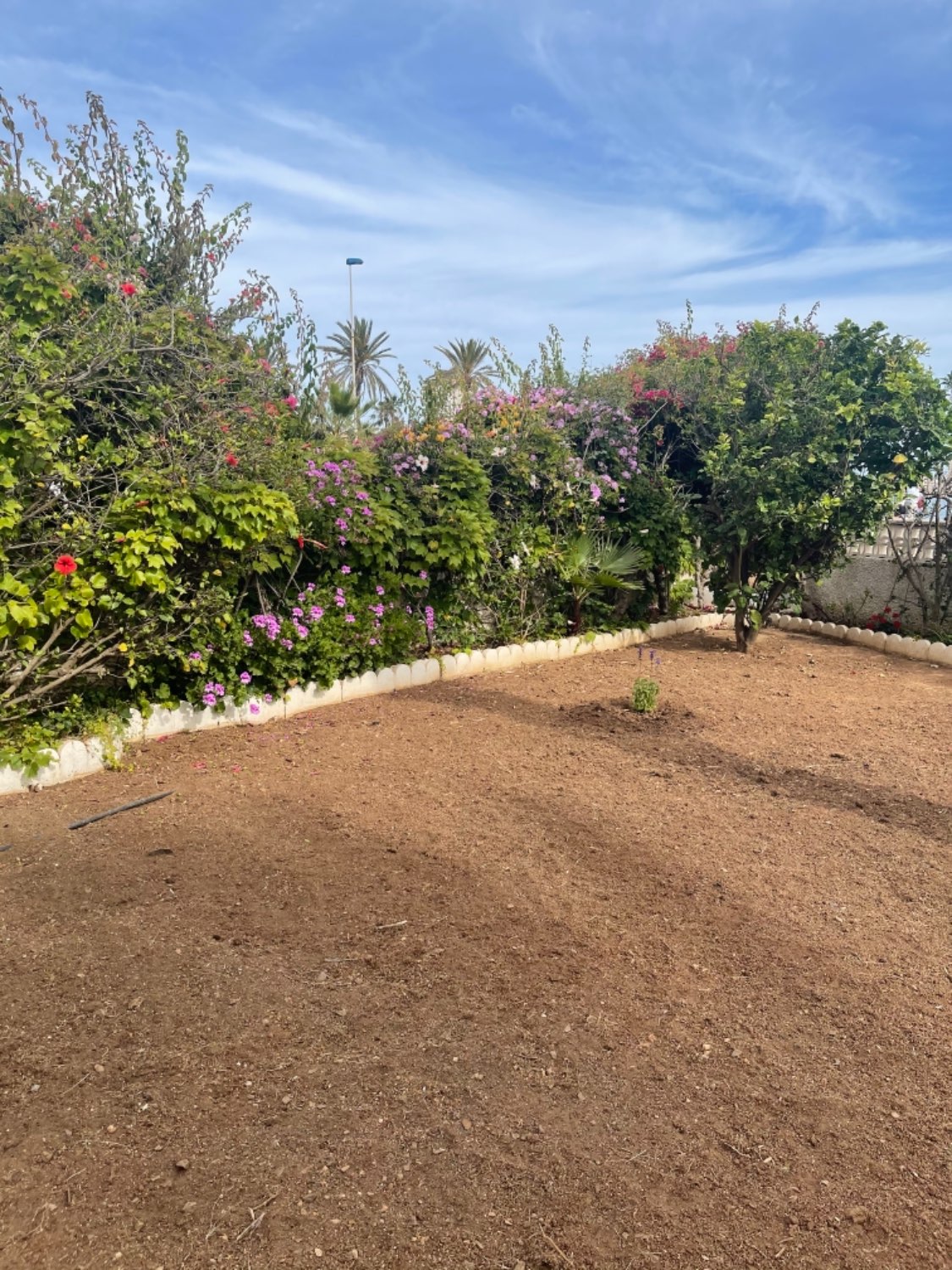 Txaleta salgai in Zona Galúa-Calnegre (La Manga del Mar Menor)